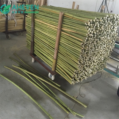 bamboo pole