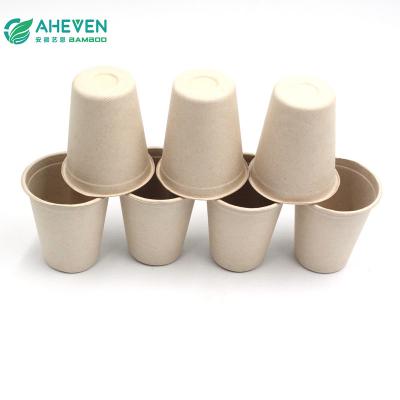 bagasse cups