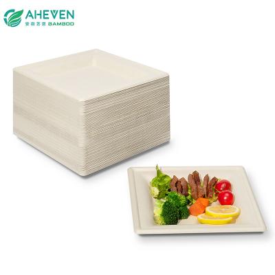 bagasse plates