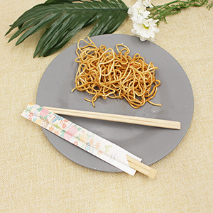 COMMENT UTILISER LES BAGUETTES