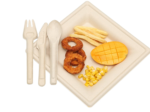 Recommander de nouveaux produits - couverts jetables en bagasse de canne à sucre